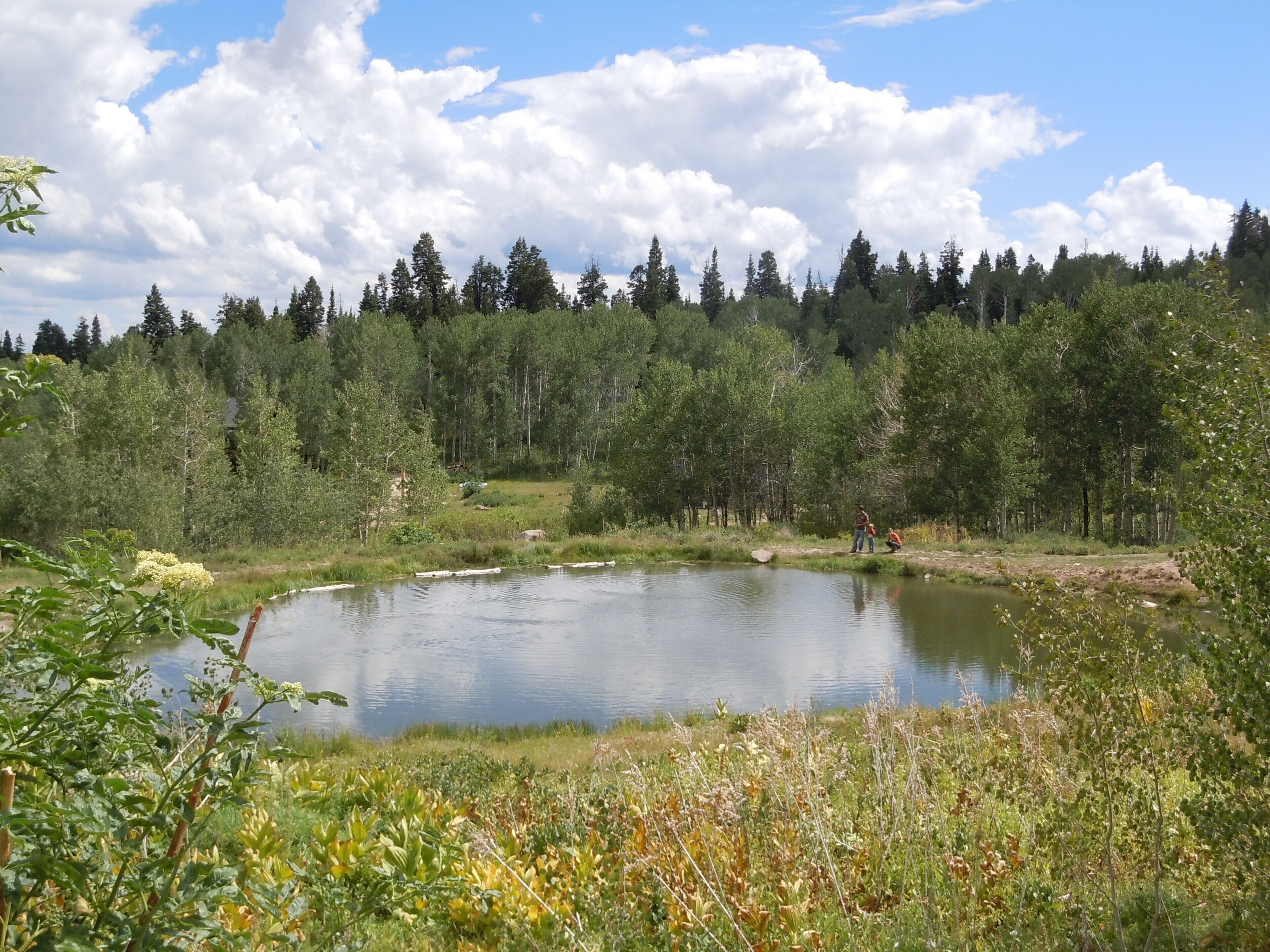 Bobcat Springs fishing hole near the lodge