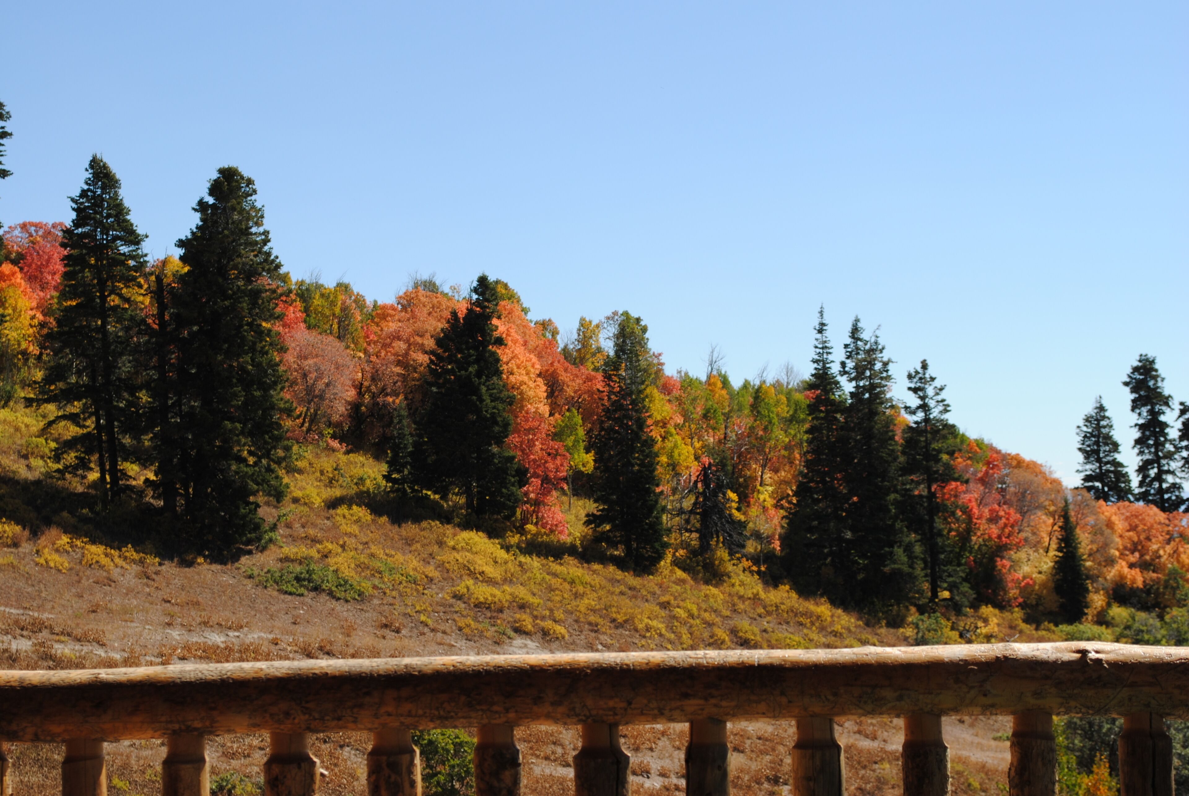 Autumn foliage on the mountainside at Silvercrest Lodge