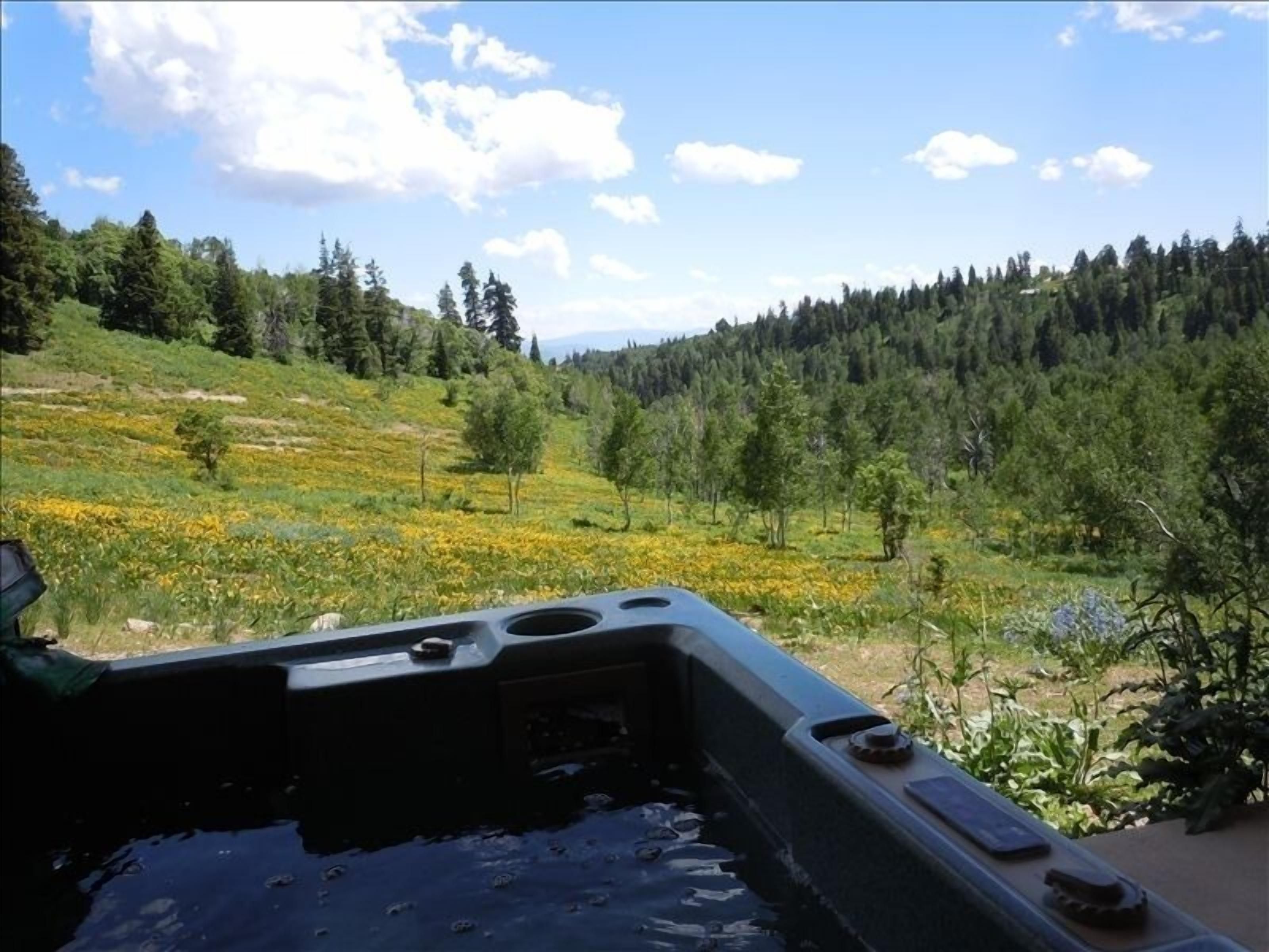 Hot tub overlooking the green mountainside in wildflower season