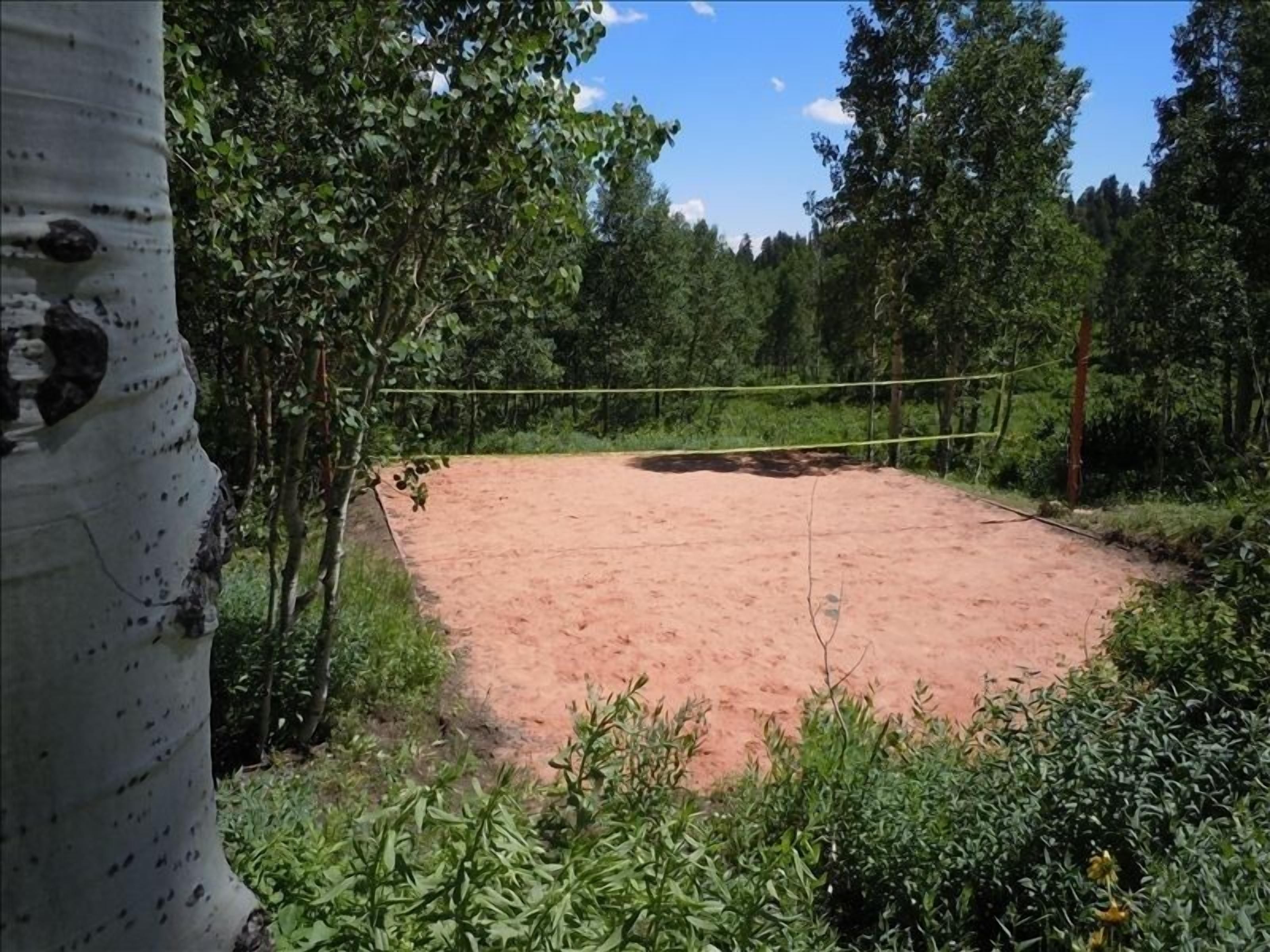Full-size sand volleyball court surrounded by aspens